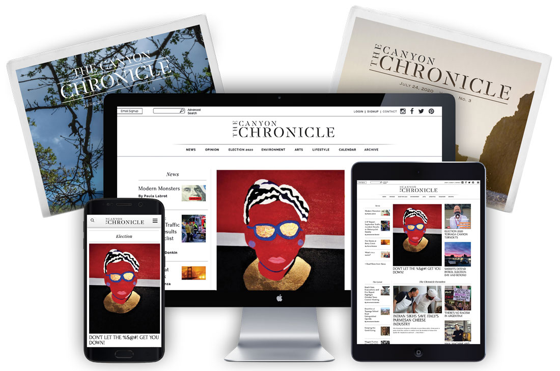 eCommerce Website Design and Development for <b>TheCanyonChronicle</b>.com